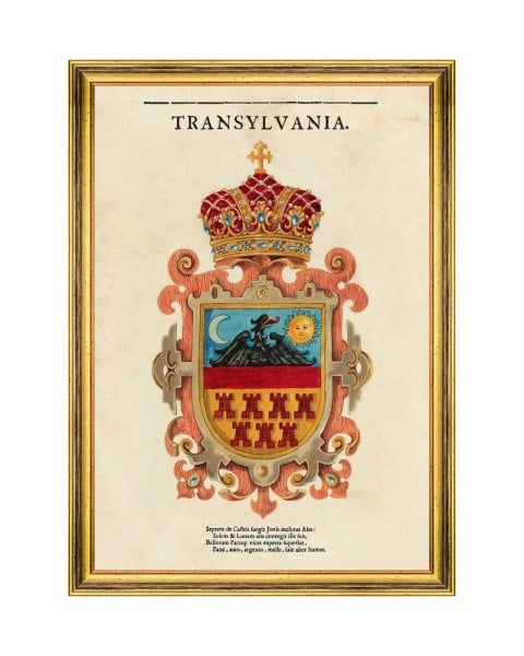 MINDTHEGAP | TRANSYLVANIA ROOTS | Framed Art | SAXON CREST 