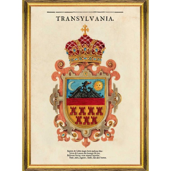 MINDTHEGAP | TRANSYLVANIA SAXON CREST Framed Art