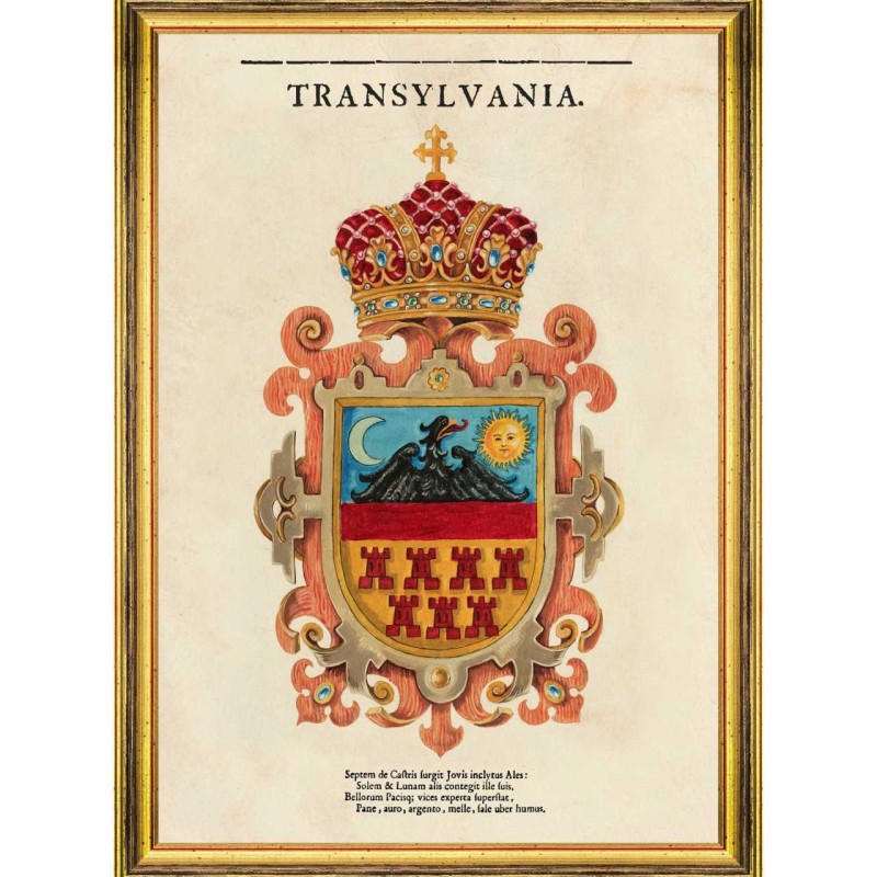 MINDTHEGAP | TRANSYLVANIA SAXON CREST Framed Art