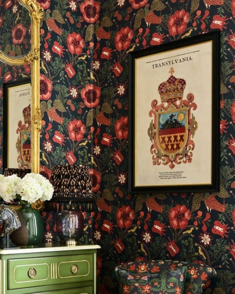 MINDTHEGAP | TRANSYLVANIA ROOTS | Framed Art | SAXON CREST 