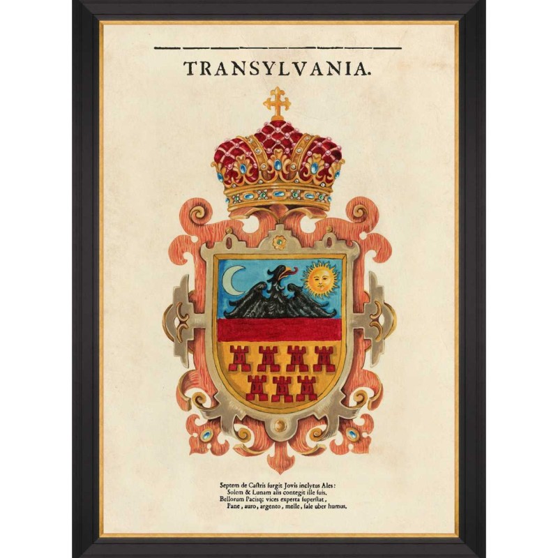 MINDTHEGAP | TRANSYLVANIA SAXON CREST Framed Art