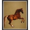 MINDTHEGAP | WHISTLEJACKET BY STUBB | FA13271