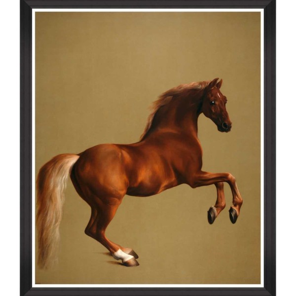 MINDTHEGAP | WHISTLEJACKET BY STUBB | FA13271
