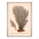 MINDTHEGAP | DELICIAE NATURAE Framed Art