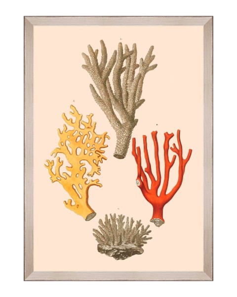 MINDTHEGAP | DELICIAE NATURAE Framed Art