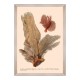 MINDTHEGAP | DELICIAE NATURAE Framed Art