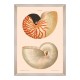 MINDTHEGAP | DELICIAE NATURAE Framed Art
