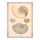MINDTHEGAP | DELICIAE NATURAE Framed Art
