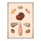 MINDTHEGAP | DELICIAE NATURAE Framed Art
