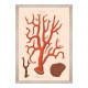 MINDTHEGAP | DELICIAE NATURAE Framed Art