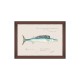 MINDTHEGAP | MEDITERRANEAN FISH Framed Art by F Clark