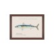 MINDTHEGAP | MEDITERRANEAN FISH Framed Art by F Clark