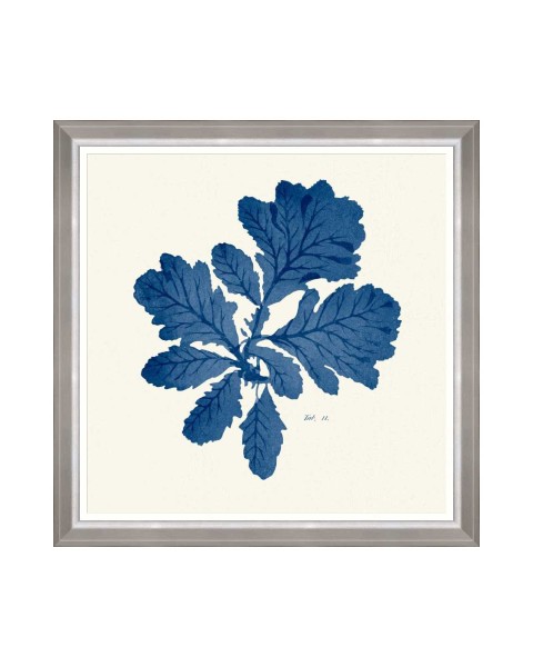 MINDTHEGAP | SEAWEED INDIGO Framed Art