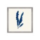 MINDTHEGAP | SEAWEED INDIGO Framed Art