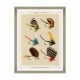 MINDTHEGAP | FISHING FLIES Framed Art by Mary Orvis Marbury