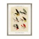 MINDTHEGAP | FISHING FLIES Framed Art by Mary Orvis Marbury