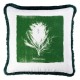 MINDTHEGAP | ALGAE Cushion