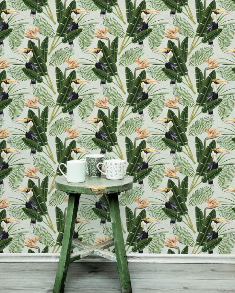 MINDTHEGAP | Birds of Paradise | WP20092