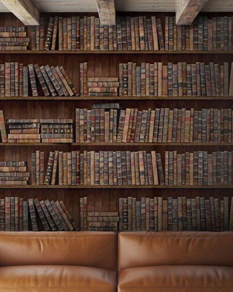 MINDTHEGAP | Book Shelves | WP20112