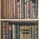 MINDTHEGAP | Book Shelves | WP20112