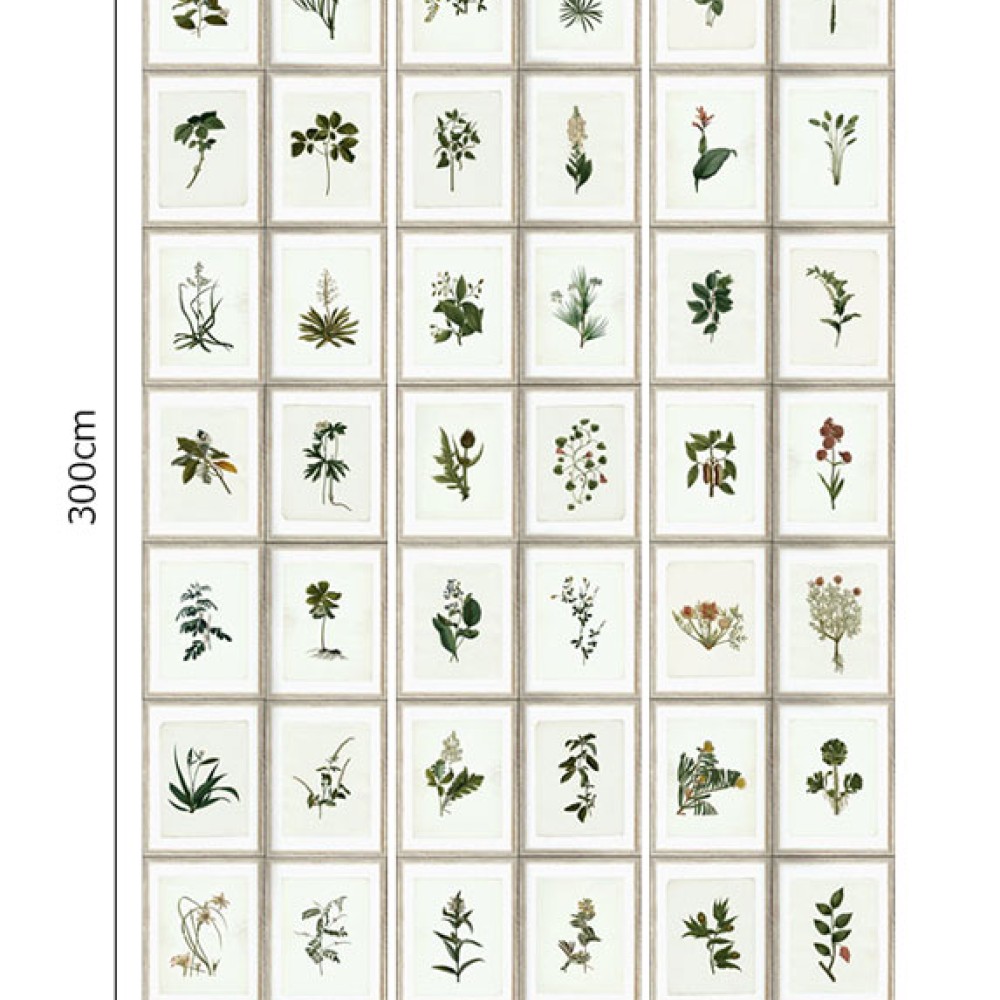 MINDTHEGAP | Botany | WP20153