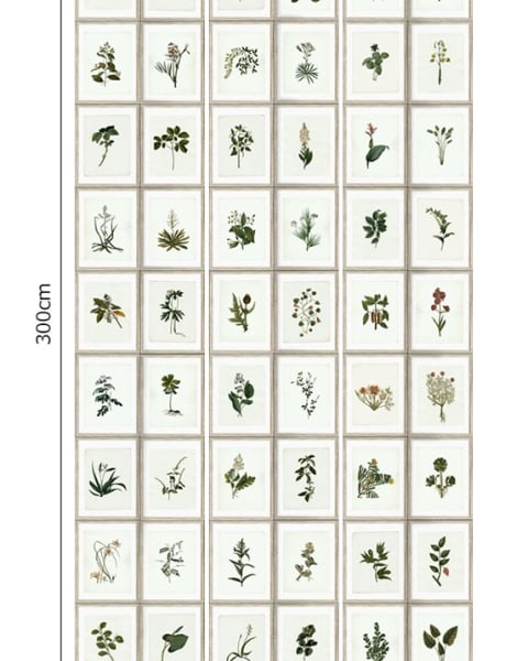 MINDTHEGAP | Botany | WP20153
