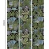 MINDTHEGAP | Echeveria | WP20163