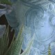 MINDTHEGAP | Echeveria | WP20163