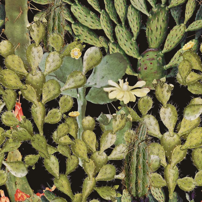MINDTHEGAP | Opuntia Anthracite | WP20165