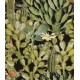 MINDTHEGAP | Opuntia Anthracite | WP20165