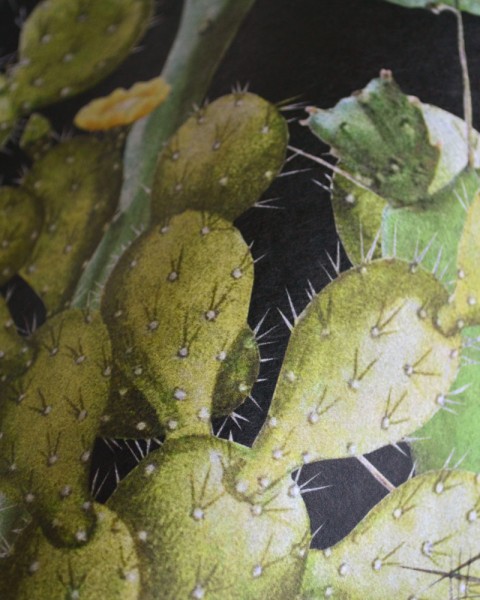 MINDTHEGAP | Opuntia Anthracite | WP20165