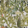MINDTHEGAP | Opuntia | WP20166