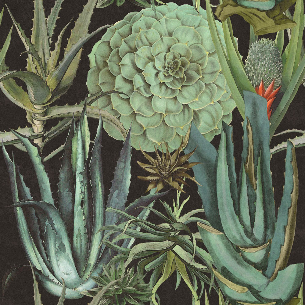 MINDTHEGAP | Succulentus Anthracite | WP20167