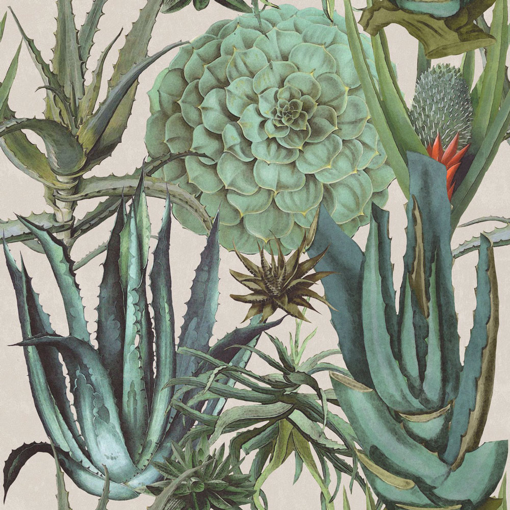 MINDTHEGAP | Succulentus | WP20168