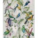 MINDTHEGAP | Tropical Birds | WP20172
