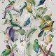 MINDTHEGAP | Tropical Birds | WP20172