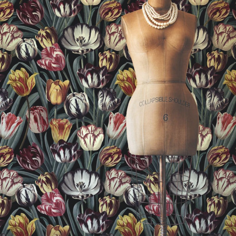 MINDTHEGAP | Tulipa Dark | WP20177