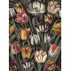 MINDTHEGAP | Tulipa Dark | WP20177