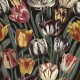 MINDTHEGAP | Tulipa Dark | WP20177