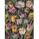 MINDTHEGAP | Tulipa | WP20178