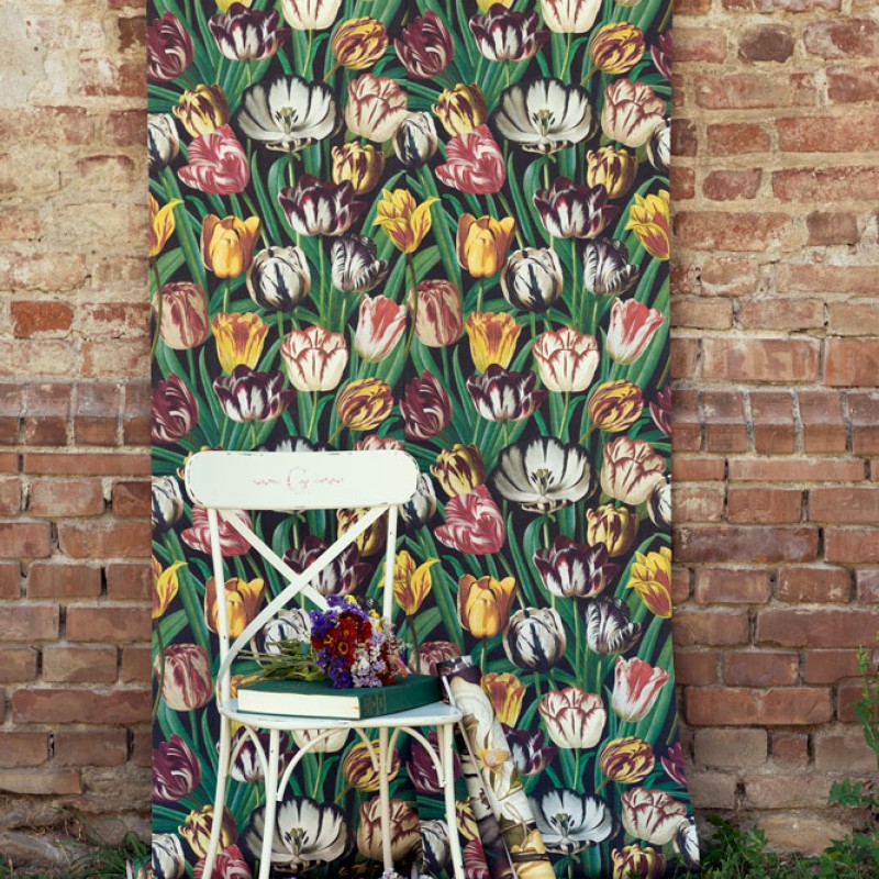 MINDTHEGAP | Tulipa | WP20178