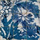 MINDTHEGAP | Algae in Blue | WP20179