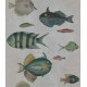 MINDTHEGAP | Poissons Grey | WP20182