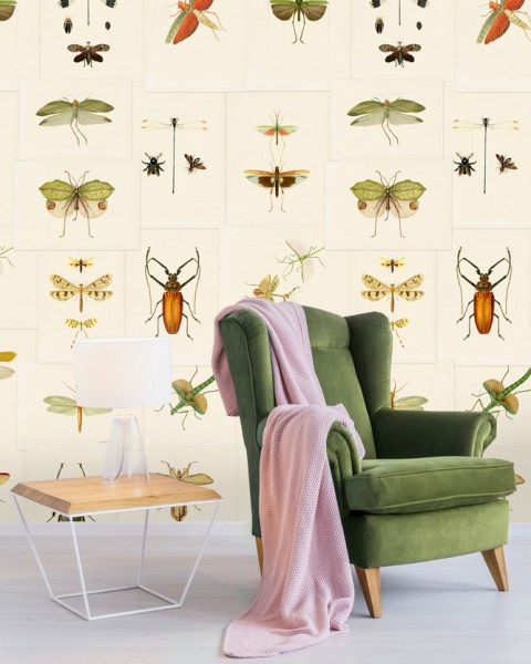 MINDTHEGAP | Entomology | WP20233