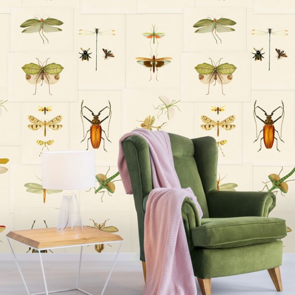 MINDTHEGAP | Entomology | WP20233