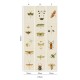 MINDTHEGAP | Entomology | WP20233
