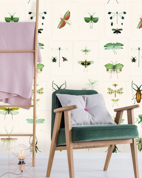 MINDTHEGAP | Entomology Green | WP20234