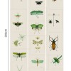 MINDTHEGAP | Entomology Green | WP20234