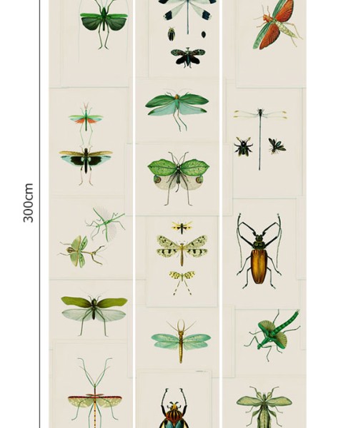 MINDTHEGAP | Entomology Green | WP20234