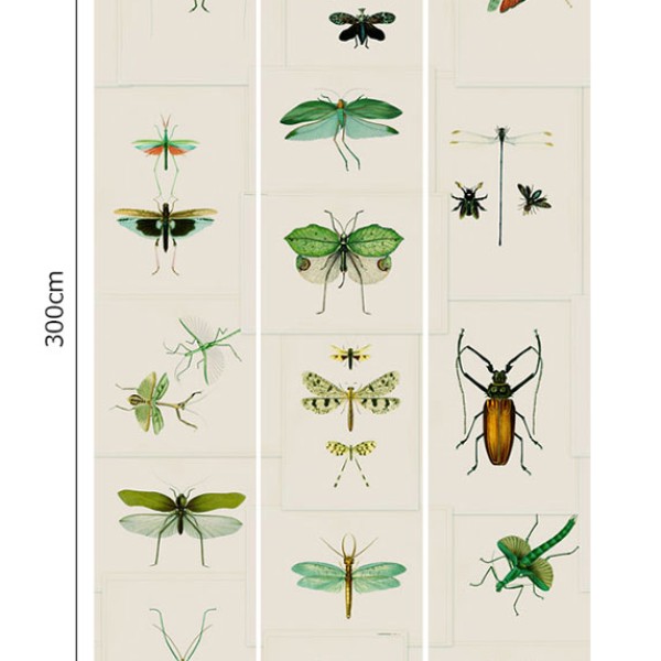 MINDTHEGAP | Entomology Green | WP20234